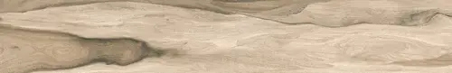 Avellano Beige