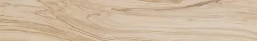 Natura Oliva