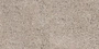 G292 Shikhan Beige