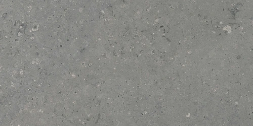 G213 Arkaim Grey