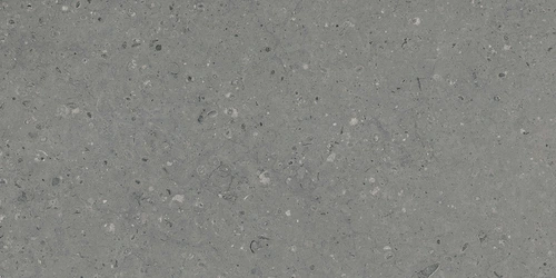 G213 Arkaim Grey