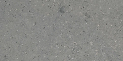 G213 Arkaim Grey