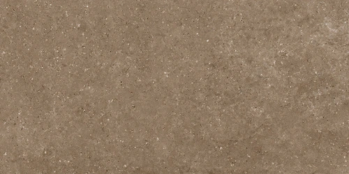 G214 Arkaim Brown