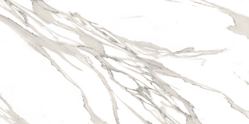 Calacatta Champagne