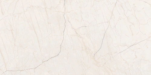 G231 Iset Elegant