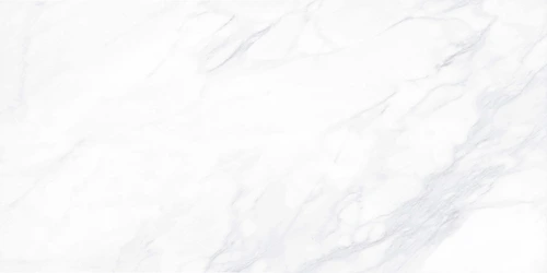 G281 Payer Elegant