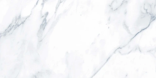 G283 Payer Grey