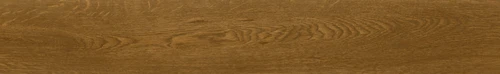Arizona Oak