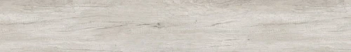 Nebraska Oak