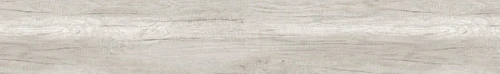Nebraska Oak