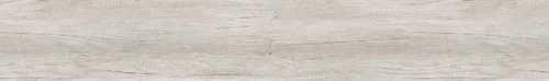 Nebraska Oak