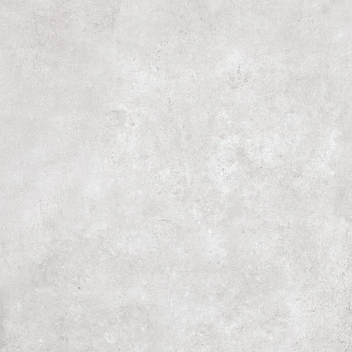 G250 Koiva White