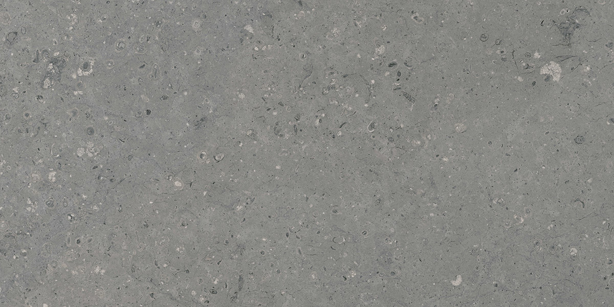 G213 Arkaim Grey