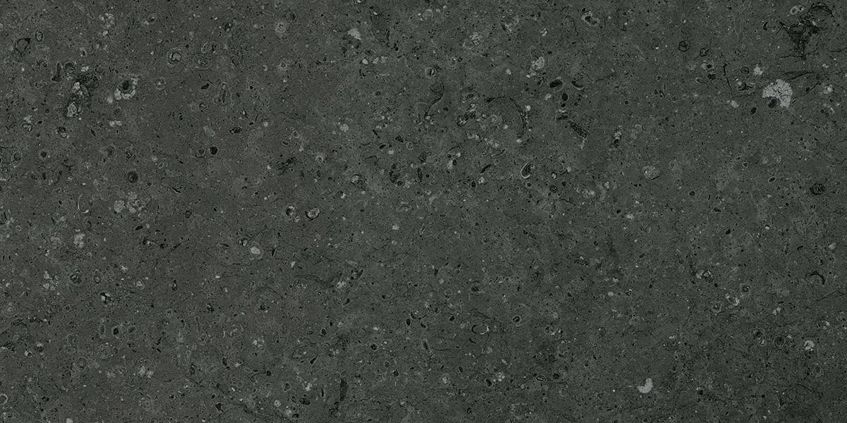 G215 Arkaim Black