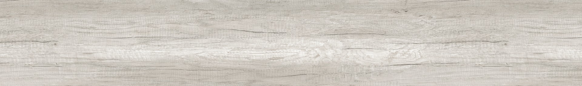 Nebraska Oak